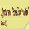 Logo di AGRITURISMO BONELLINO VECCHIO - AZIENDA AGRICOLA