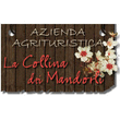 Logo di AZIENDA AGRICOLA LA COLLINA DEI MANDORLI
