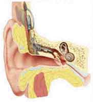 Logo di AUDIOMEDICAL