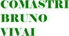Logo di VIVAI COMASTRI BRUNO & C. SS AGRICOLA
