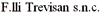 Logo di TREVISAN F.LLI