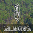 Logo di CASTELLI DEL GREVEPESA SOC. COOP. AGRICOLA