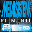Logo di METALSISTEM PIEMONTE
