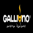 Logo di GALLIANO CAFFE'