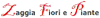 Logo di FIORI E PIANTE ZAGGIA