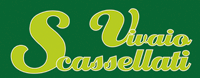 Logo di VIVAIO SCASSELLATI