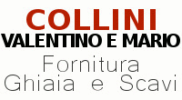 Logo di COLLINI VALENTINO E MARIO FORNITURE GHIAIA E SCAVI