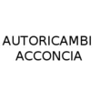 Logo di AUTORICAMBI ACCONCIA E OFFICINA MECCANICA ELETTRAUTO