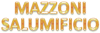 Logo di MAZZONI ENRICO
