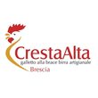 Logo di CRESTAALTA