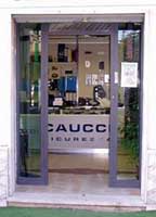Logo di CAUCCI SICUREZZA sas