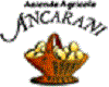 Logo di AZIENDA AGRICOLA ANCARANI
