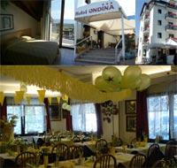 Logo di HOTEL ONDINA