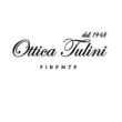 Logo di FOTO OTTICA TULINI