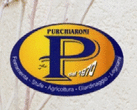 Logo di PURCHIARONI ETTORE