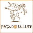 Logo di PEGASO SALUTE