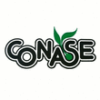 Logo di CO.NA.SE.
