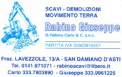 Logo di RABINO GIUSEPPE DI RABINO CARLO & C.