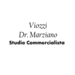 Logo di STUDIO COMMERCIALISTA VIOZZI