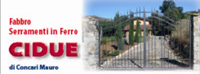 Logo di CIDUE
