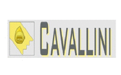 Logo di CAVALLINI SRL