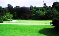 Logo di VIVAI RUGIADA - GIARDINI