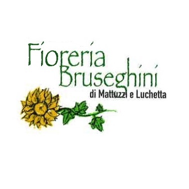Logo di FIORERIA E IMPRESA DI POMPE FUNEBRI BRUSEGHINI