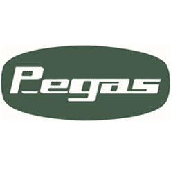 Logo di PEGAS