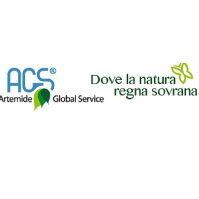 Logo di ARTEMIDE GLOBAL SERVICE