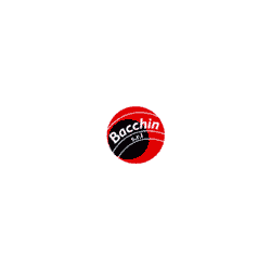 Logo di BACCHIN