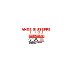 Logo di ANOE' GIUSEPPE SNC