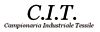 C.I.T. snc di CASANA & C.