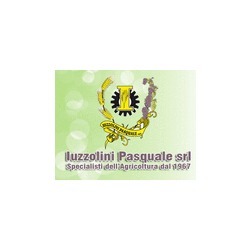 Logo di AGRICOLTURA IUZZOLINI