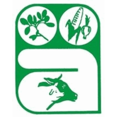 Logo di ACHILLE SRL