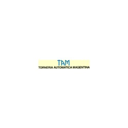 Logo di TAM - TORNERIA DI PRECISIONE