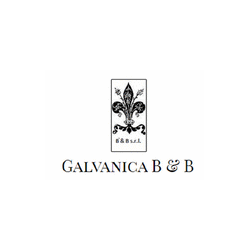Logo di GALVANICA B & B