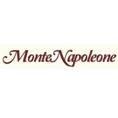 Logo di MONTENAPOLEONE
