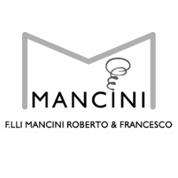 Logo di MANCINI ROBERTO CAMINETTI