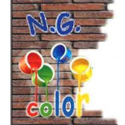 Logo di N.G. COLOR