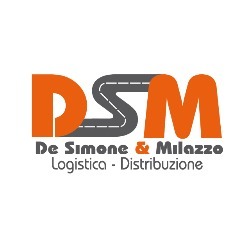 Logo di DE SIMONE E MILAZZO SAS