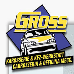 Logo di GROSS GREGOR