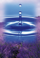 Logo di PULILUX