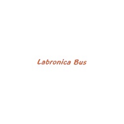Logo di LABRONICA BUS