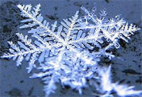 Logo di BLU CLIMA snc