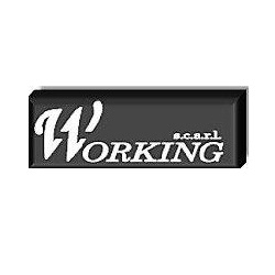 Logo di WORKING