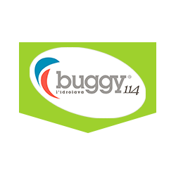 Logo di BUGGY 114 L'IDROLAVA