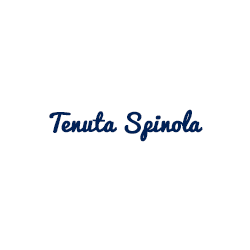 Logo di TENUTA SPINOLA