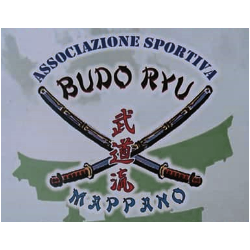 Logo di ASSOCIAZIONE SPORTIVA DILETTANTISTICA BUDO RYU MAPPANO