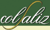 PRODUZIONE VINI E SPUMANTI COLSALIZ  di ANTONIO FAGANELLO