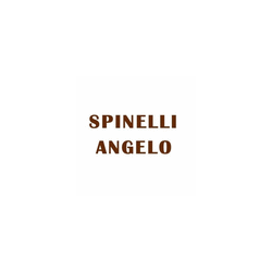 Logo di SPINELLI ANGELO SAS